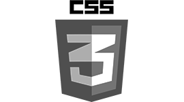 css3